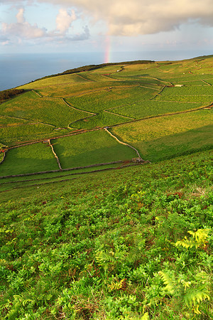 Green Land